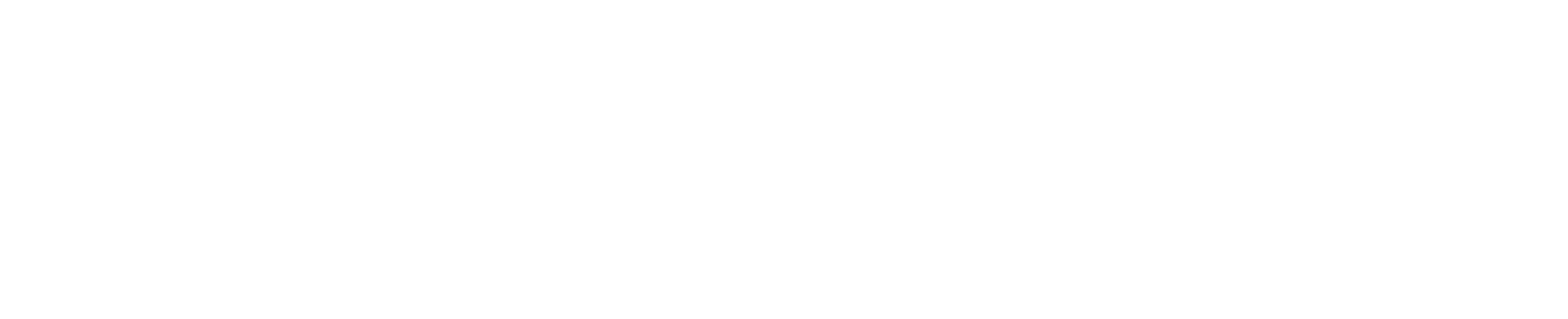 NickRother Logo_klein_weiss-02