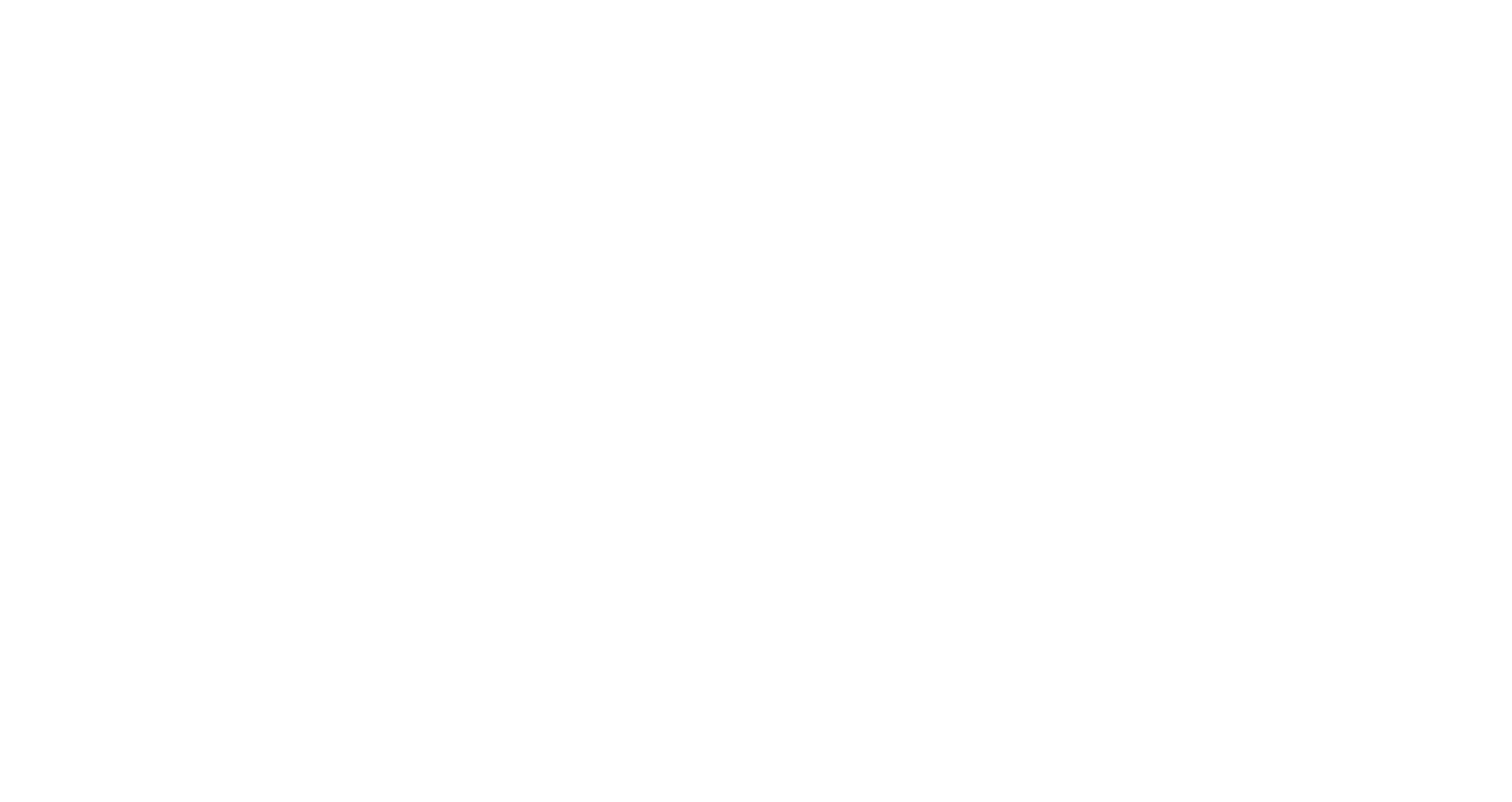 NickRother Logo_weiss-02